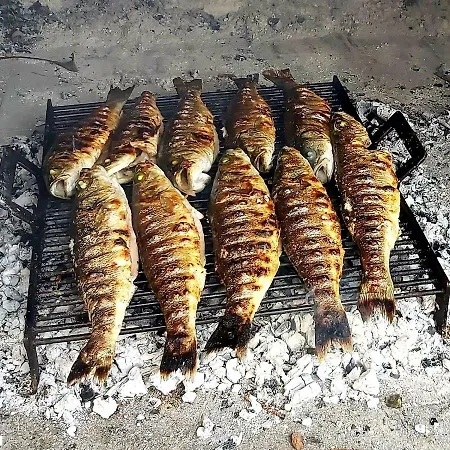 Apartments Vila Punta Jadrtovac